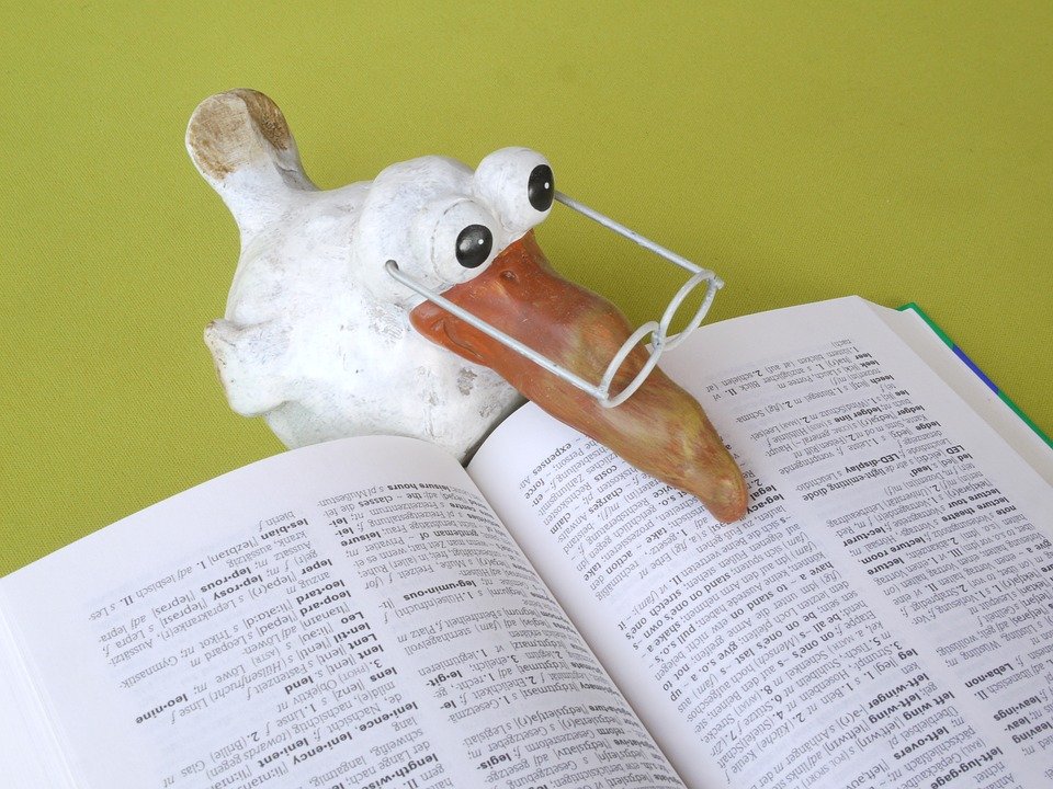 Ceramic bird figurine with wire glasses reading a large open dictionary