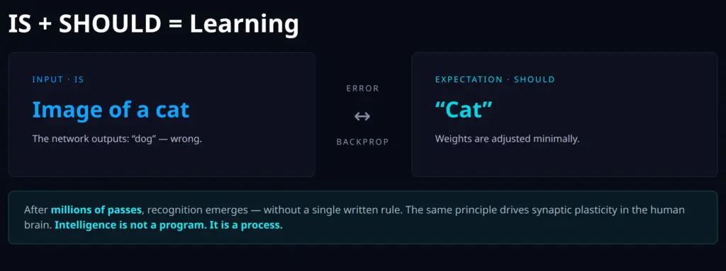 How AI learns: IS plus SHOULD equals learning, shown with a cat image and backpropagation