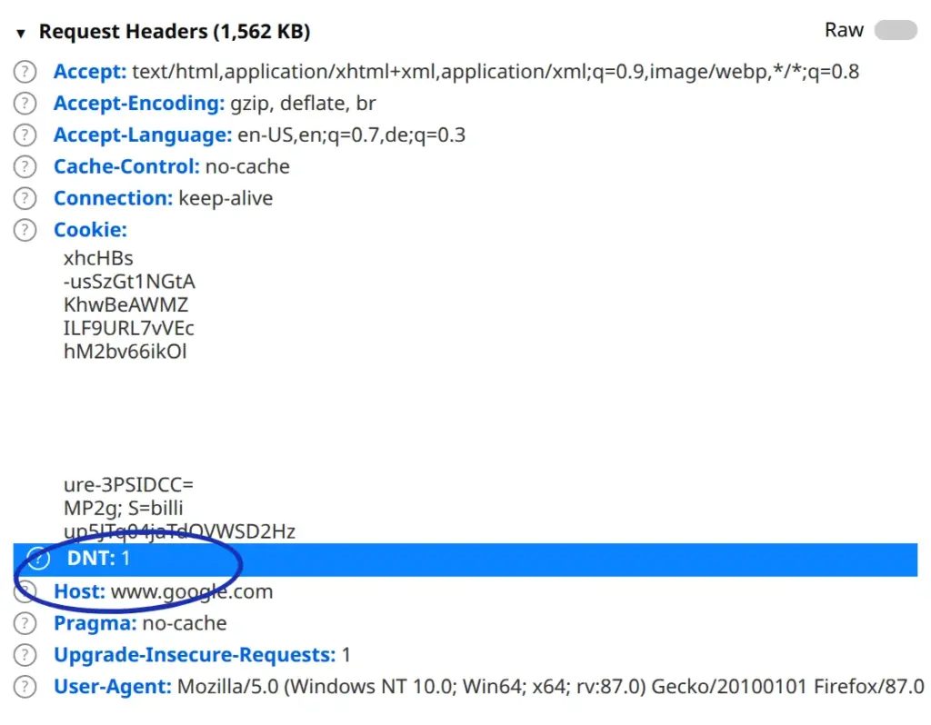 Request headers sent to google.com with the DNT: 1 entry highlighted