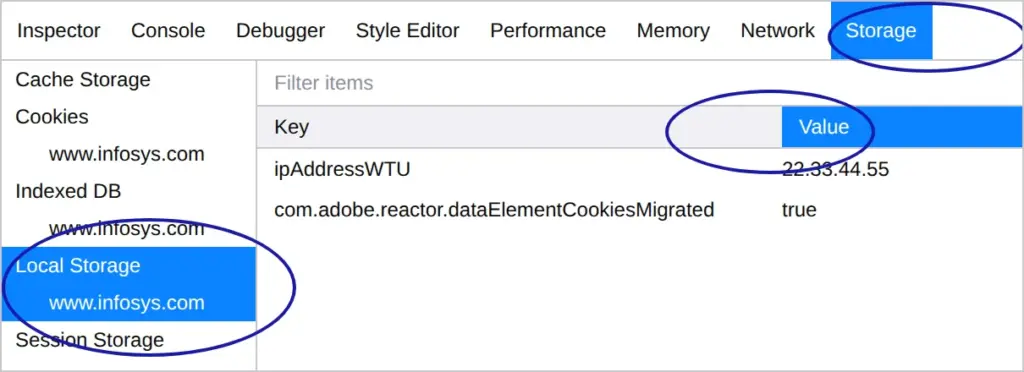 Storing on the device under ePrivacy: Local Storage of infosys.com with IP address, value altered