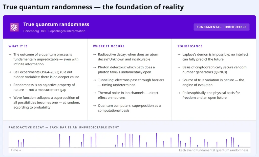 True quantum randomness: origin, occurrence and significance, with radioactive decay as an example